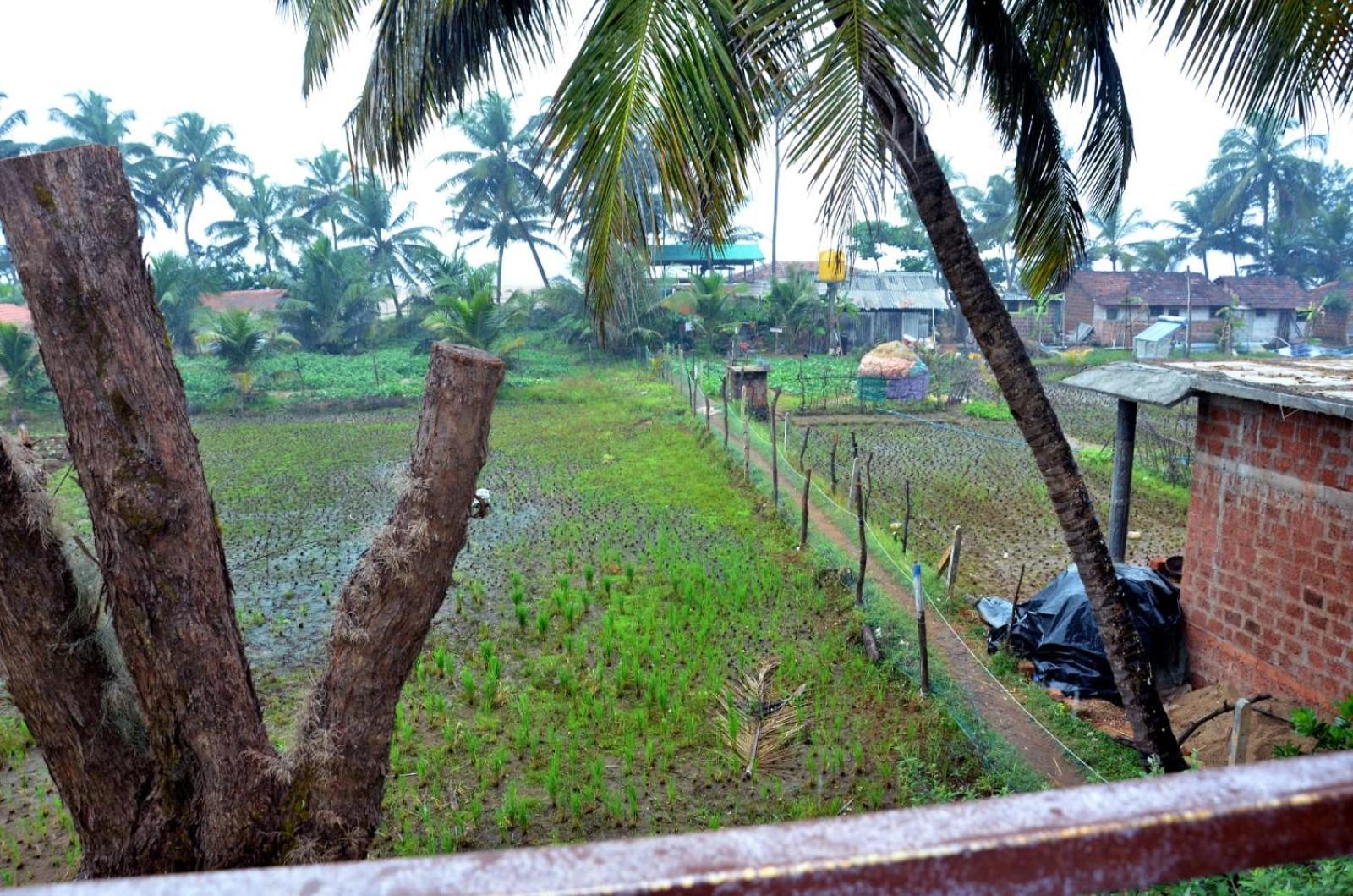 Kenchas Beach Resort Gokarna  Bagian luar foto