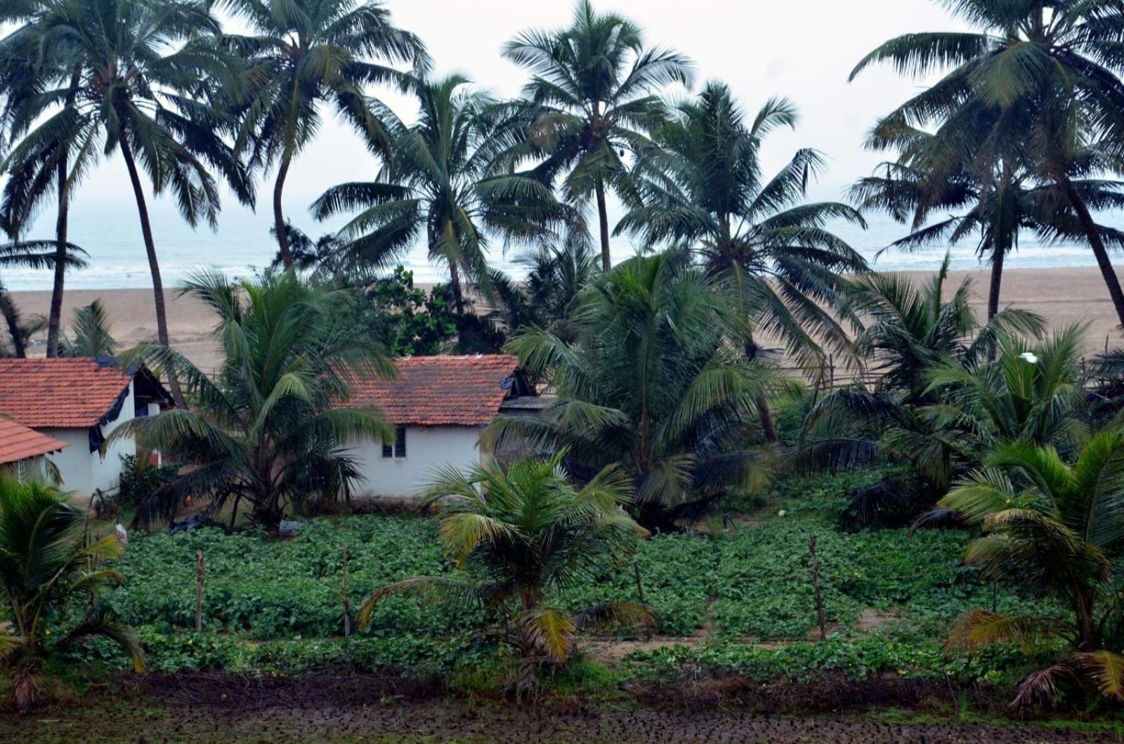 Kenchas Beach Resort Gokarna  Bagian luar foto